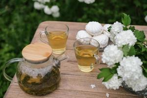 Summer picnic with tea and marshmallows in the summer garden. Tea drinking in the garden photo