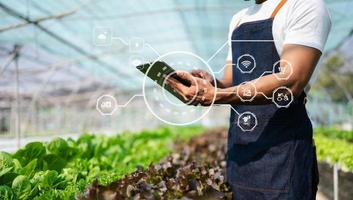 Asian couple of farmers inspects plants with a digital tablet In a greenhouse plantation. Smart farming photo