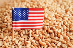 USA America on grain wheat, trade export and economy concept. photo