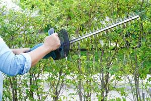 Gardener trimming bush by electric hedge clippers in garden. Hobby at home. photo