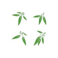 Eucalyptus leaves floral logo vector template