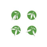 Eucalyptus leaves floral logo vector template