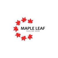 Maple leaf logo template vector icon illustration