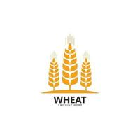 Agriculture wheat Logo Template vector icon