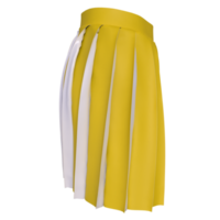 skirt isolated on transparent background png