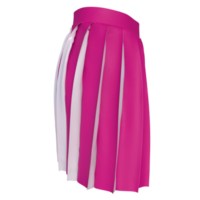 falda aislado en transparente antecedentes png