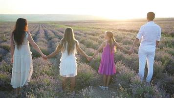 Family in lavender flowers field on the sunset video