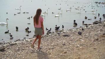 menina sentada na praia com cisnes video