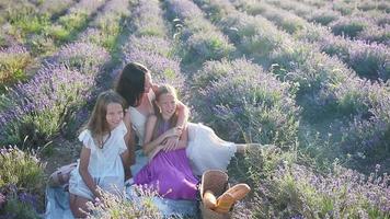 família no campo de flores de lavanda ao pôr do sol em vestido branco e chapéu video