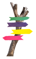 colore legna cartello con secco albero png