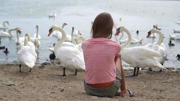 Little girl sitting on the beach with swans video