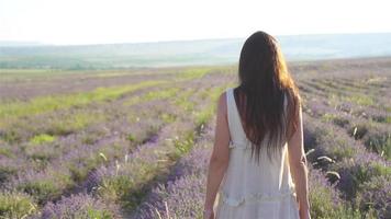 mujer en el campo de flores de lavanda al atardecer con vestido blanco y sombrero video