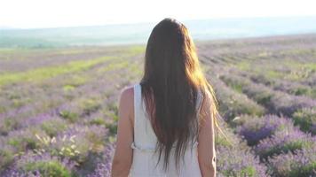 Woman in lavender flowers field at sunset in white dress and hat video