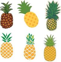 Vector set of pineapple illustrations