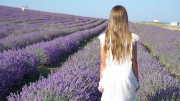 meisje in lavendel bloemen veld- in wit jurk video