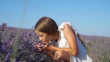 mujer en el campo de flores de lavanda al atardecer con vestido blanco y sombrero video