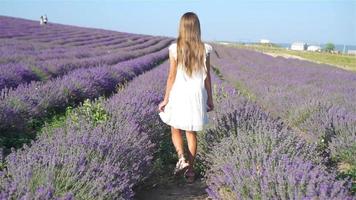 Cute girl in lavender flowers field at sunset in purple dress video