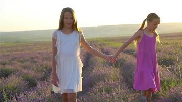 chicas en el campo de flores de lavanda al atardecer con vestido blanco video