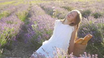 liten flicka i lavendel- blommor fält på solnedgång video