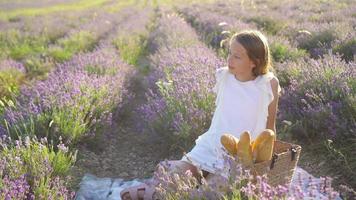 pequeño niña en lavanda flores campo a puesta de sol en blanco vestir y sombrero video