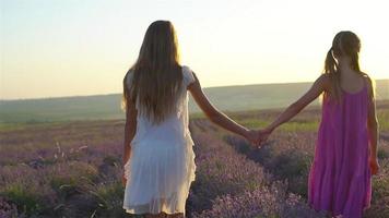Girls in lavender flowers field at sunset in white dress video