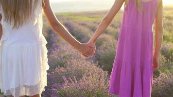 filles dans le champ de fleurs de lavande au coucher du soleil en robe blanche video