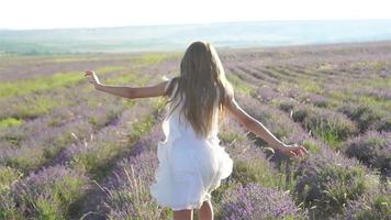 Frau im Lavendelblumenfeld bei Sonnenuntergang im weißen Kleid und im Hut video
