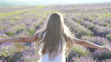 mujer en el campo de flores de lavanda al atardecer con vestido blanco y sombrero video