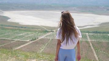 feliz menina perto a lago às a dia tempo. video