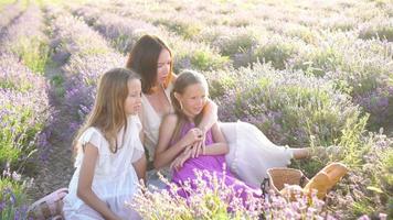 Familie im Lavendelblumenfeld bei Sonnenuntergang im weißen Kleid und im Hut video