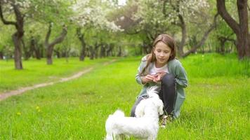 Zwei kleine Kinder beim Picknick im Park video