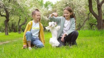 weinig glimlachen meisjes spelen en knuffelen puppy in de park video