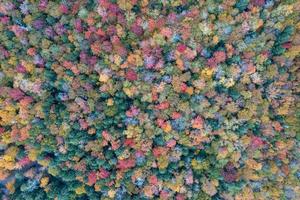 Colgate Lake in Upstate New York during peak fall foliage season. photo