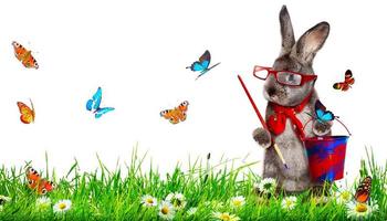 Funny Easter bunny. Happy Easter holiday concept. photo