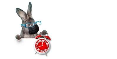 Easter rabbit with medical mask at epidemic time photo