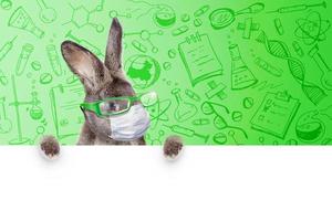 Easter rabbit with medical mask at epidemic time photo