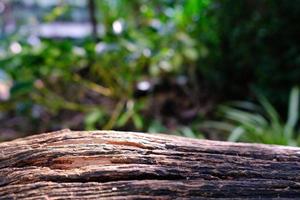 Old Timber Selected Focus with Blurred Garden for Background, Suitable for Product Presentation Backdrop, Display, and Mock up. photo