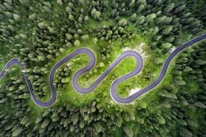 parte superior aéreo ver de famoso serpiente la carretera cerca passo giau en dolomita Alpes. devanado montañas la carretera en lozano bosque con verde abeto en verano hora en el dolomitas, Italia foto