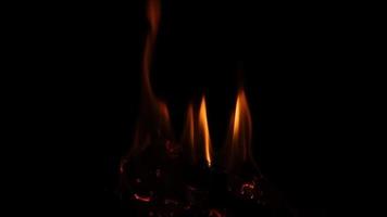 detailopname van brandend papier met brand element geïsoleerd Aan zwart achtergrond. vlam stroom video