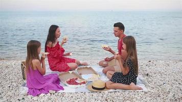 Family having a picnic on the beach video