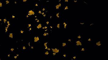 lento movimento outono folhas animação 18 dentro 4k ultra hd, lindo animação com transparente fundo