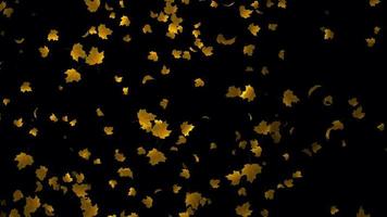 schleppend Bewegung Herbst Blätter Animation 21 im 4k Ultra hd, Schleife Animation mit transparent Hintergrund video