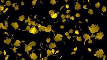 Yellow Maple leaves animation in 4K Ultra HD, Beautiful animation with transparent background video