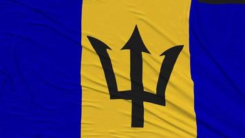 barbados flagga trasa avlägsnande från skärm, 3d tolkning, krom nyckel, luma matt video