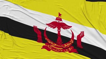 Brunei Flag Cloth Removing from Screen, 3D Rendering, Chroma Key, Luma Matte video