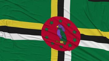 Dominica Flag Cloth Removing From Screen, Intro, 3D Rendering, Chroma Key, Luma Matte video