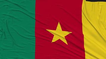 Cameroon Flag Cloth Removing From Screen, Intro, 3D Rendering, Chroma Key, Luma Matte video