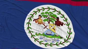 belize bandeira pano removendo a partir de tela, 3d Renderização, croma chave, luma fosco video