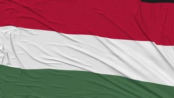 Hungary Flag Cloth Removing From Screen, Intro, 3D Rendering, Chroma Key, Luma Matte video