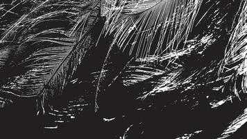 textura de superposición envejecida, fondo de grunge abstracto en blanco y negro, suciedad vectorial envejecida, textura de astillas, grietas, rasguños, desgastes, polvo, suciedad. vector